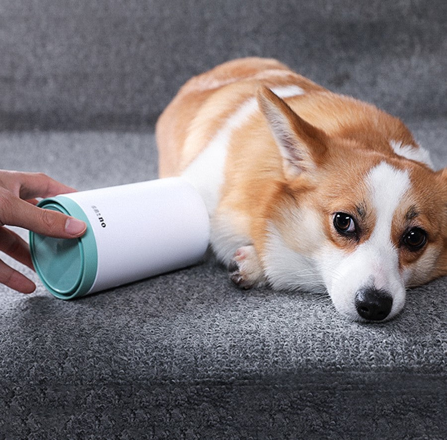 The Paw Washer