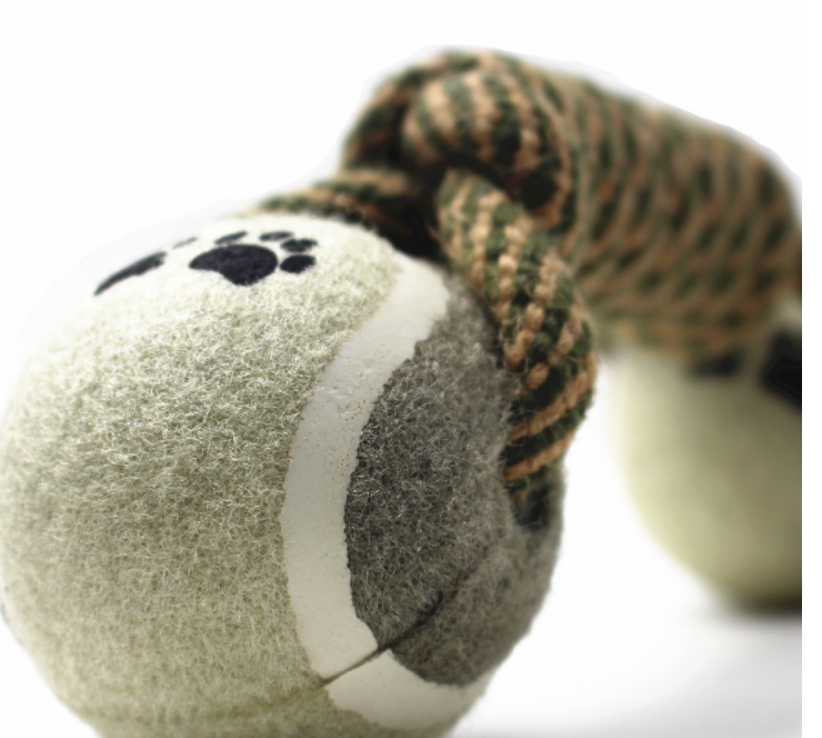 The Rope Tug