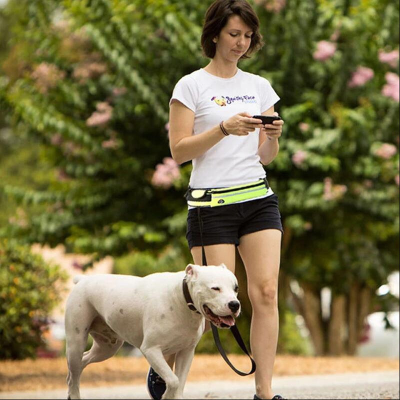 The Hands-Free Lead on a walk