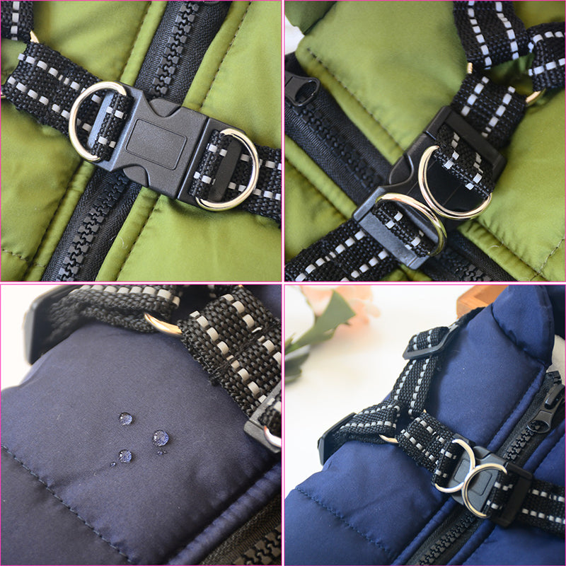 Harness and lead ring detail
