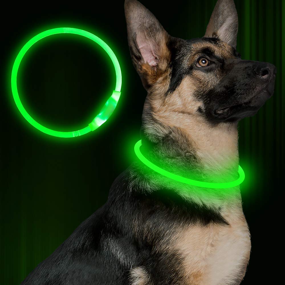 The Glow Collar on a dog in the dark