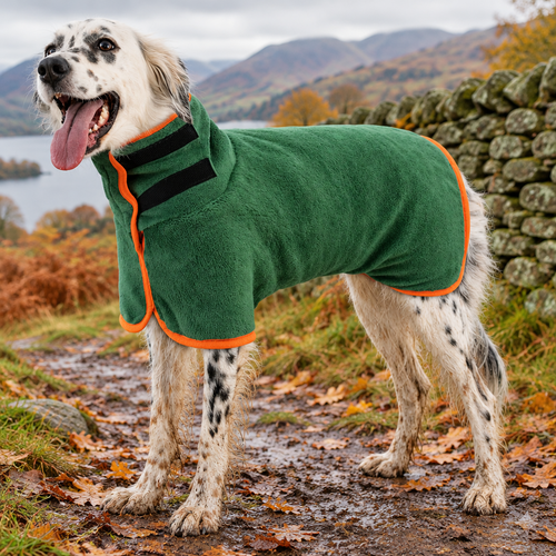 Dog wearing The Drying Coat in forest green on a muddy fell path